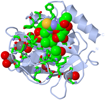 Image Biol. Unit 1 - sites