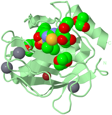 Image Biological Unit 2