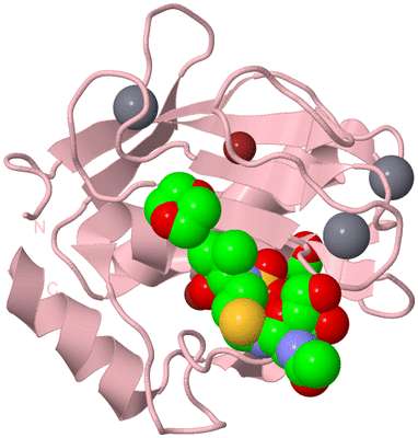 Image Biological Unit 3