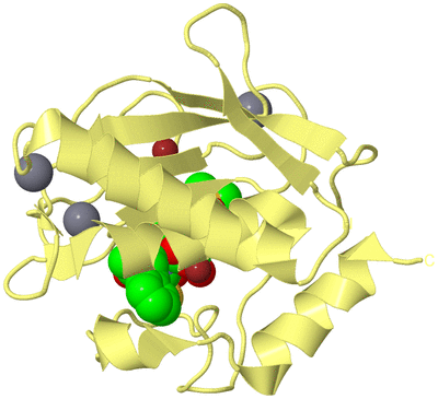 Image Biological Unit 4