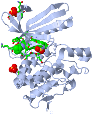 Image Biol. Unit 1 - sites