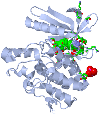 Image Biol. Unit 1 - sites