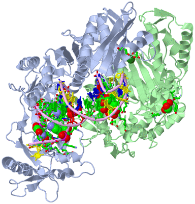 Image Biol. Unit 1 - sites