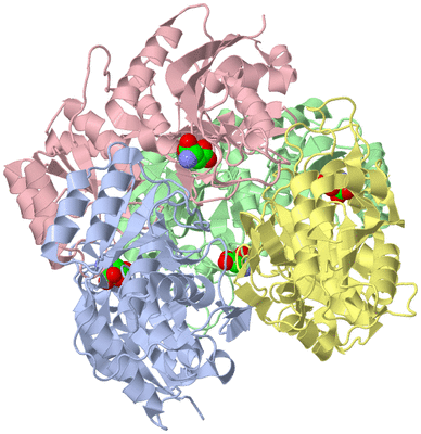 Image Asym./Biol. Unit