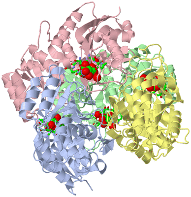 Image Asym./Biol. Unit - sites