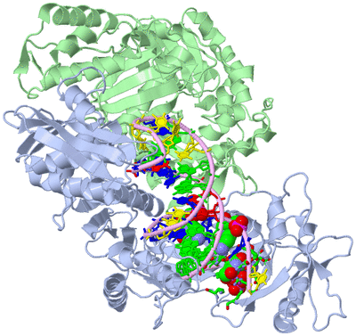 Image Biol. Unit 1 - sites