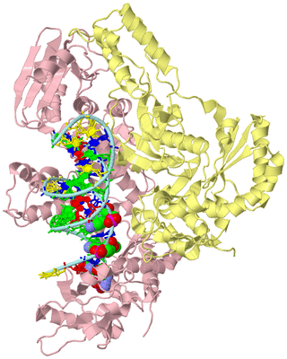 Image Biological Unit 2