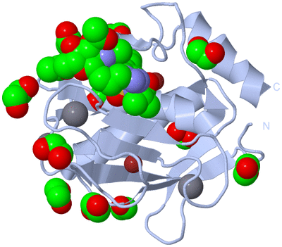 Image Biological Unit 1