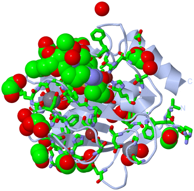 Image Biol. Unit 1 - sites