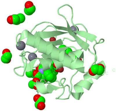 Image Biological Unit 2