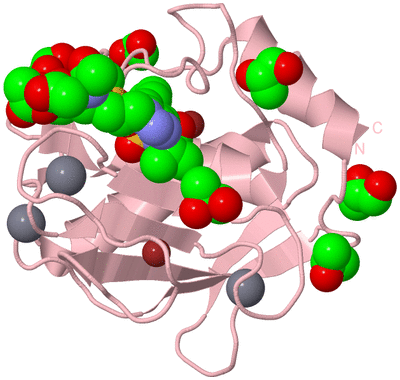 Image Biological Unit 3