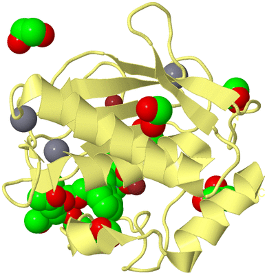 Image Biological Unit 4