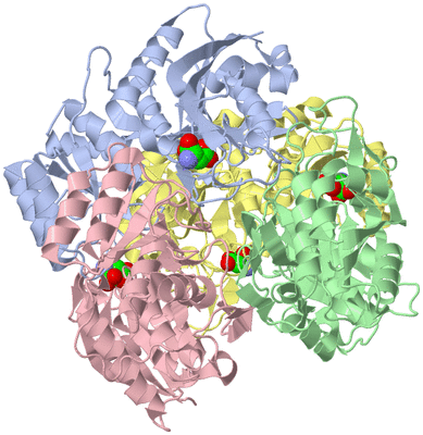 Image Asym./Biol. Unit