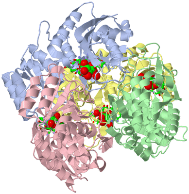 Image Asym./Biol. Unit - sites