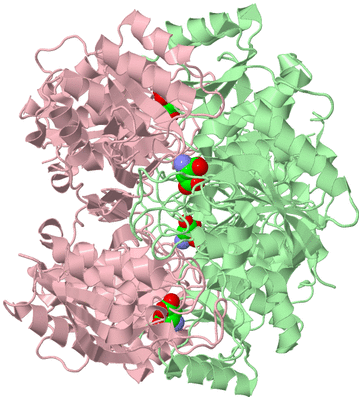 Image Biological Unit 2