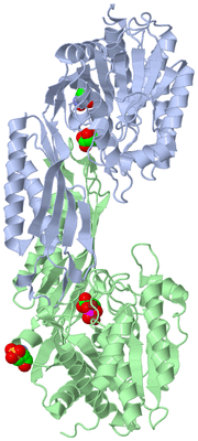 Image Asym./Biol. Unit