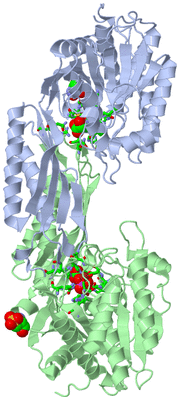 Image Asym./Biol. Unit - sites