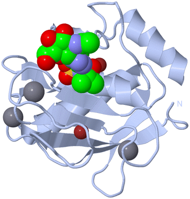 Image Biological Unit 1