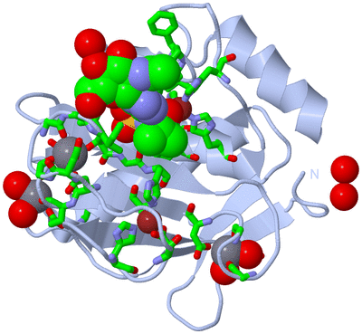 Image Biol. Unit 1 - sites