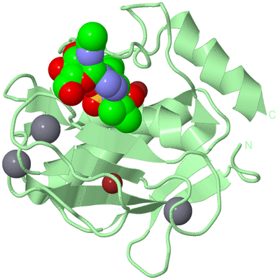 Image Biological Unit 2