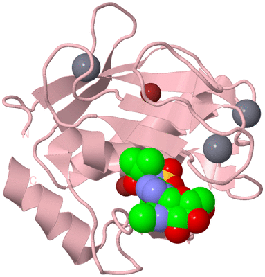 Image Biological Unit 3