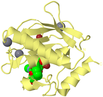 Image Biological Unit 4