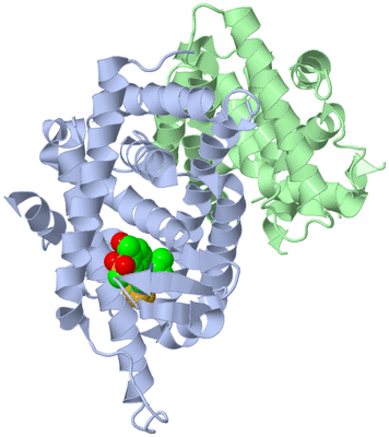 Image Biological Unit 1