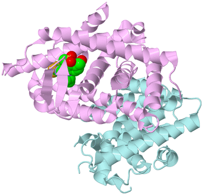 Image Biological Unit 2