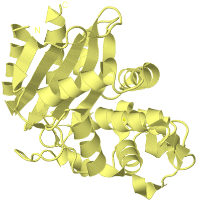 Image Biological Unit 4