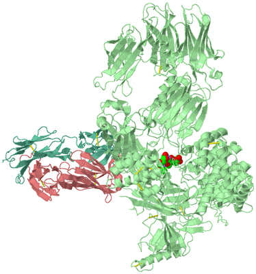 Image Biological Unit 1