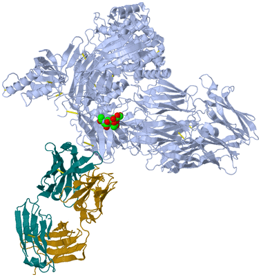 Image Biological Unit 2