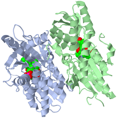 Image Biological Unit 1