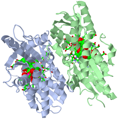 Image Biol. Unit 1 - sites