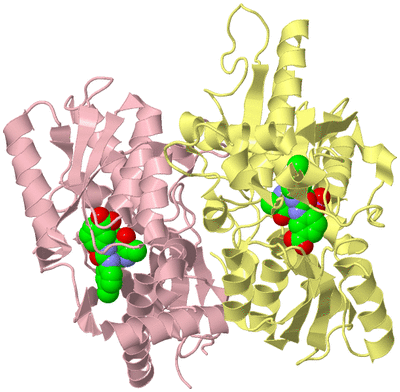 Image Biological Unit 2