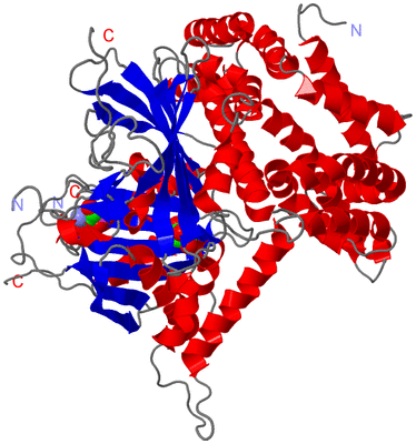 Image Asym./Biol. Unit