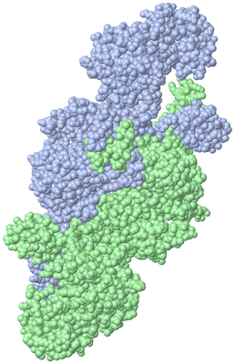 Image Asym./Biol. Unit