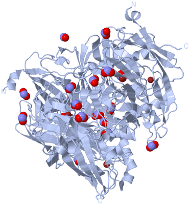 Image Biological Unit 1