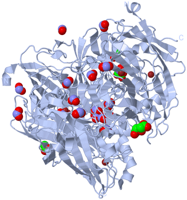 Image Biological Unit 1