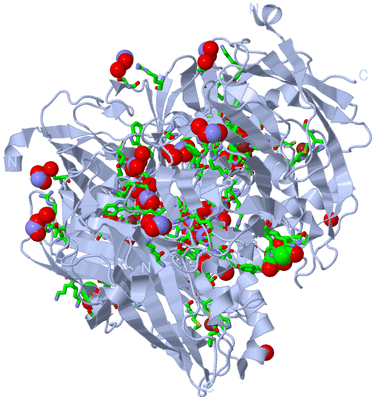 Image Biol. Unit 1 - sites