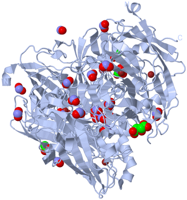 Image Biological Unit 1