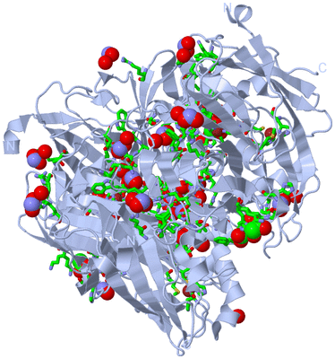 Image Biol. Unit 1 - sites