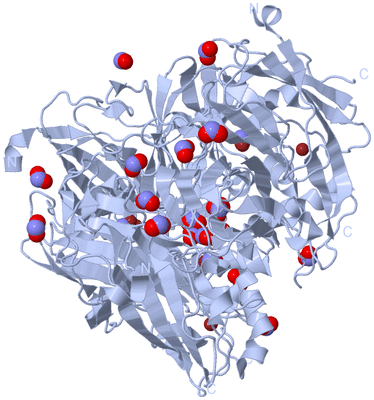 Image Biological Unit 1