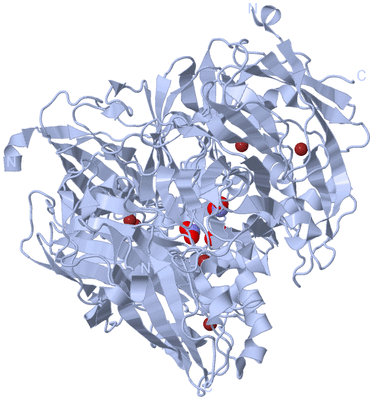 Image Biological Unit 1