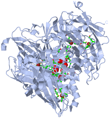 Image Biol. Unit 1 - sites