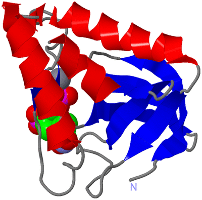 Image Asym./Biol. Unit