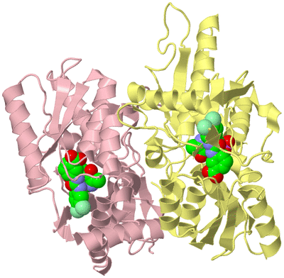 Image Biological Unit 2