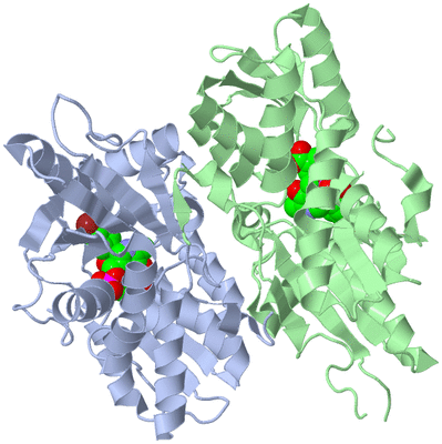 Image Biological Unit 1