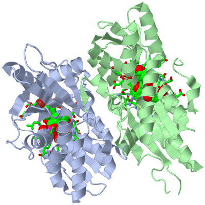 Image Biol. Unit 1 - sites