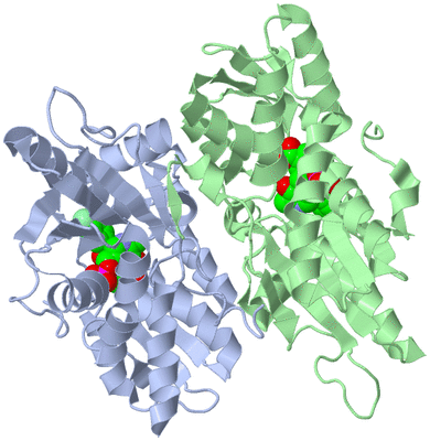 Image Biological Unit 1