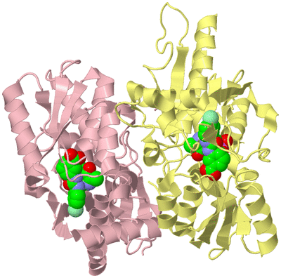 Image Biological Unit 2